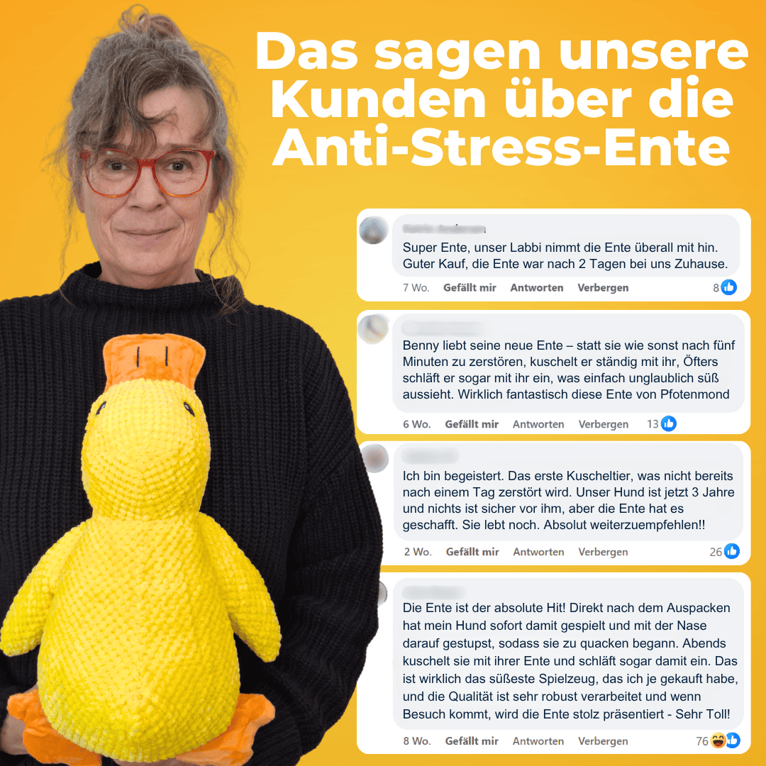 Anti-Stress-Ente - Gegen Trennungsangst & Alleinsein