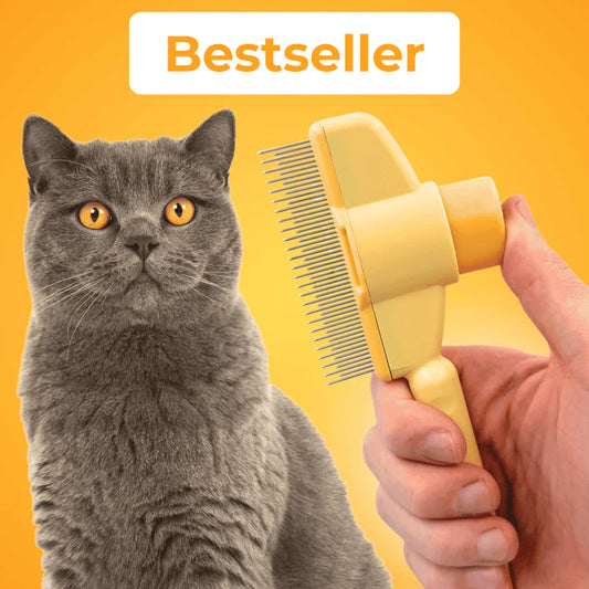 Fellblitz-Bürste – Der Bestseller