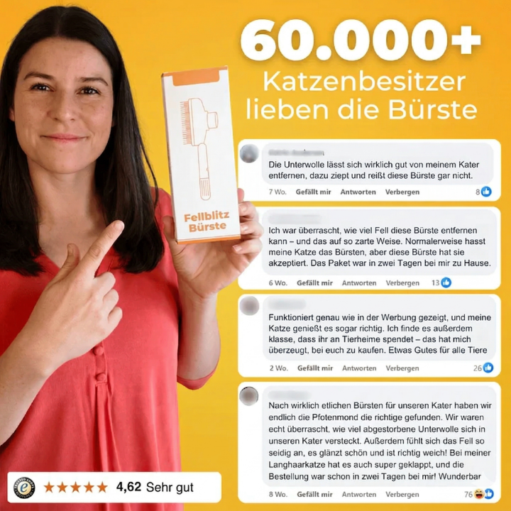 Fellblitz-Bürste – Der Bestseller