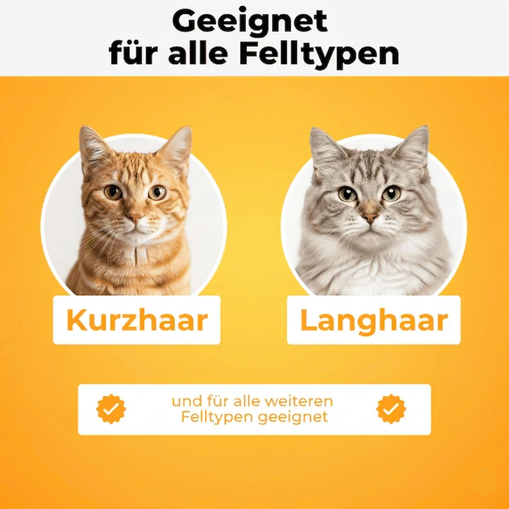 Fellblitz-Bürste – Der Bestseller