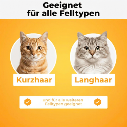 Fellblitz-Bürste – Der Bestseller