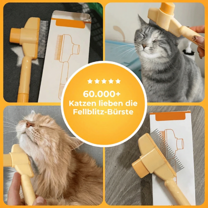 Fellblitz-Bürste – Der Bestseller