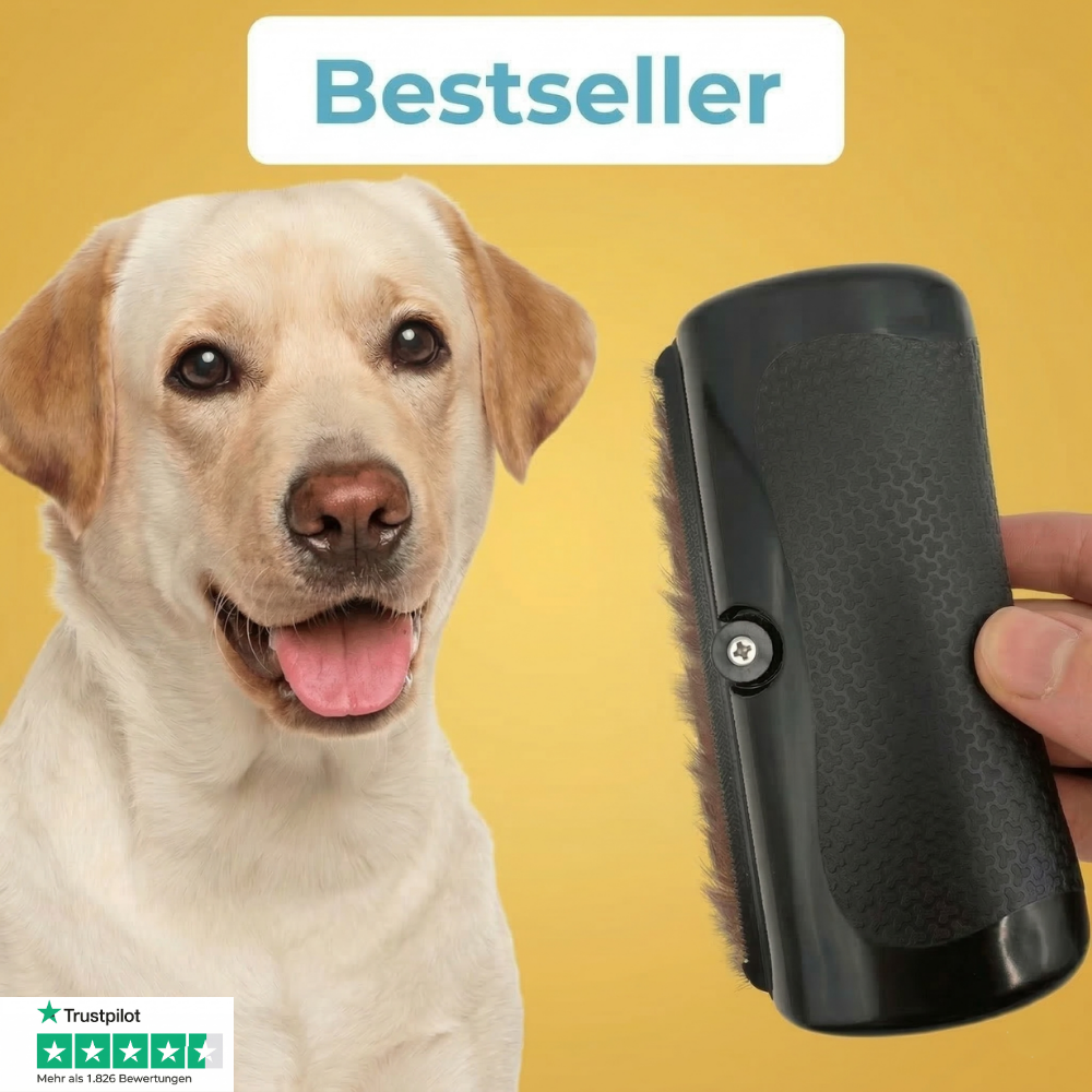 Fellwunder Bürste – Entfernt Unterwolle & Verfilzungen sanft