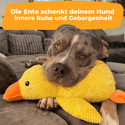 Anti-Stress-Ente - Gegen Trennungsangst & Alleinsein