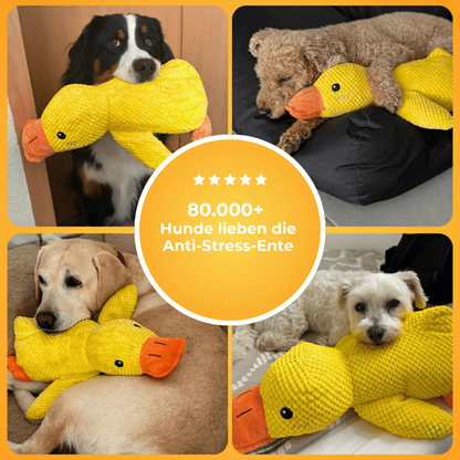 Anti-Stress-Ente - Gegen Trennungsangst & Alleinsein